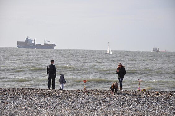 Family at beach