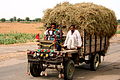 Fancy truck in India.jpg