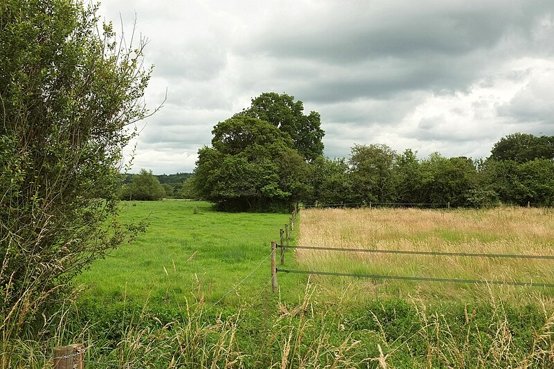 File:Farmland near Upper Burgate - geograph.org.uk - 5196607.jpg