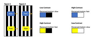 <span class="mw-page-title-main">Stepping feet illusion</span>