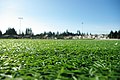 w:FieldTurf artifcial turf at w:53rd Avenue Park in w:Hillsboro, Oregon.