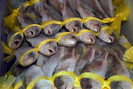 Fail:FishAtSupermarket.jpg