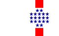 Знаме на Централниот департман