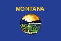 Flamuri i Montana
