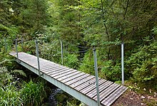 Footbridge with steel construction over Boser Ellbach stream, Black Forest, Germany Footbridge over Boser Ellbach stream, Schwarzwald, Germany.jpg