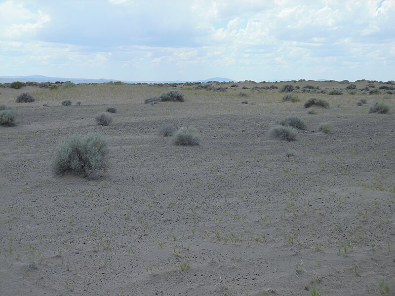 File:Fossil Lake landscape, Lake County, Oregon.JPG