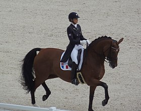 A cikk szemléltető képe Jessica Michel