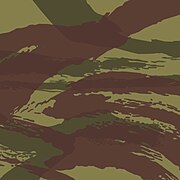 French lizard pattern camo