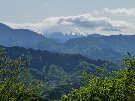 Fuji from Takao 1.JPG