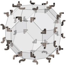 Kesik küpoktahedronda tam oktahedral grup elemanları; JF.png