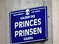 Galerie des Princes