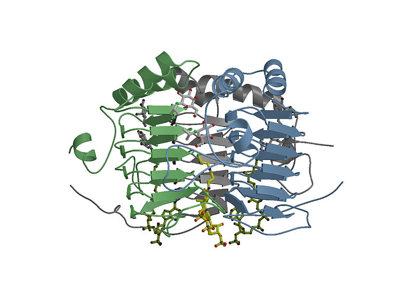 File:GattrimerB IPTG.jpg