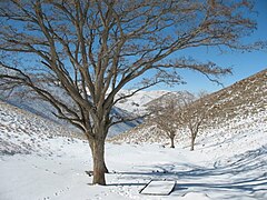 Gerdoo Valley in winter