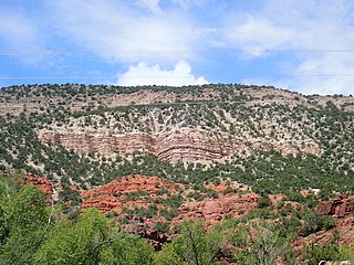 <span class="mw-page-title-main">Gilman Conglomerate</span> A geologic formation in New Mexico
