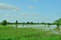 A river inside the Gujba Forest reserve