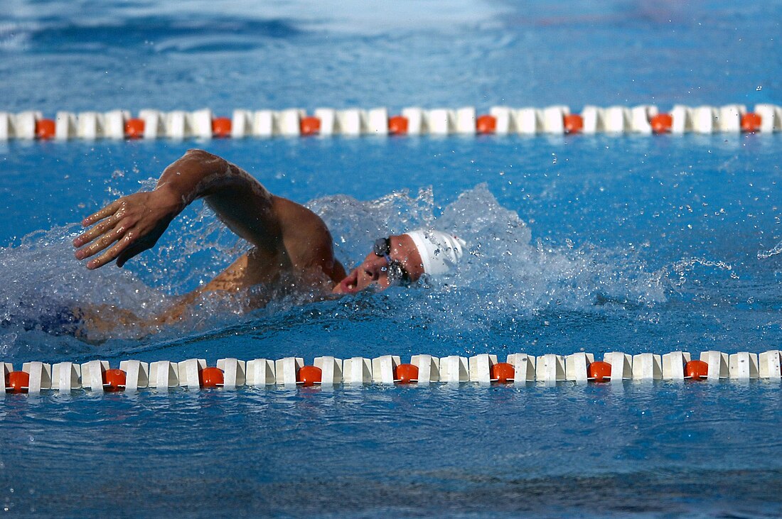 Natación (deporte)