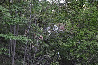 <span class="mw-page-title-main">Hancock House (Bluefield, West Virginia)</span> Historic house in West Virginia, United States