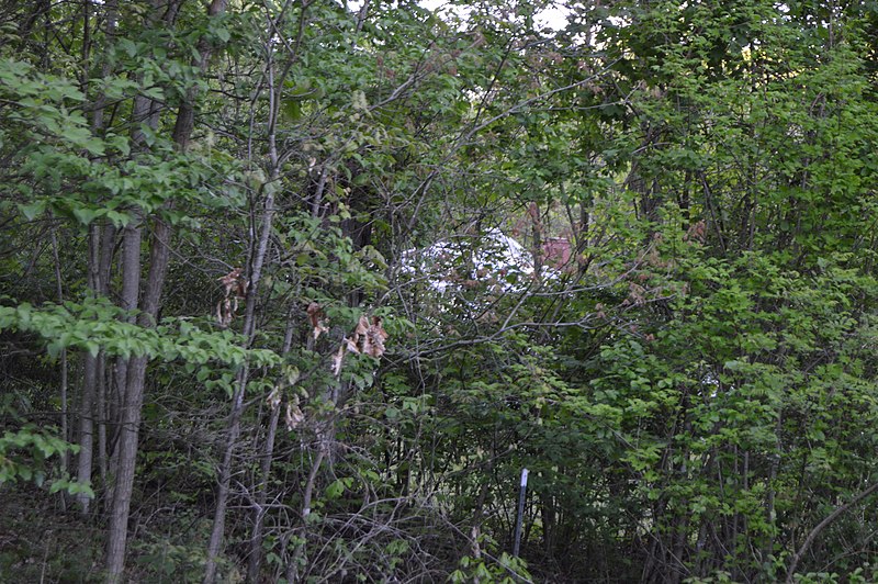 File:Hancock House in Bluefield through trees.jpg