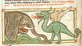 Detail: File:Harley3244_f.39v_ElephantAndDragon_DetailElephant.jpg