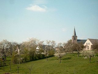 Hesbaye natural area in Belgium