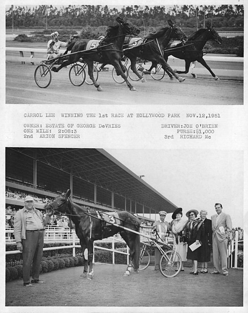 Harness Racing at Hollywood Park, November 1951 (Harry Birdsey, Trainer)