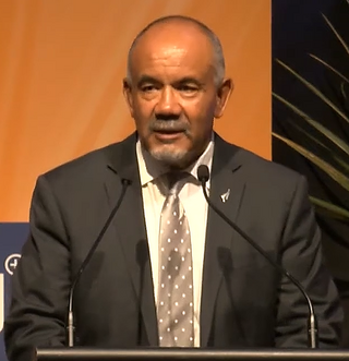 <span class="mw-page-title-main">Te Ururoa Flavell</span> Former New Zealand politician