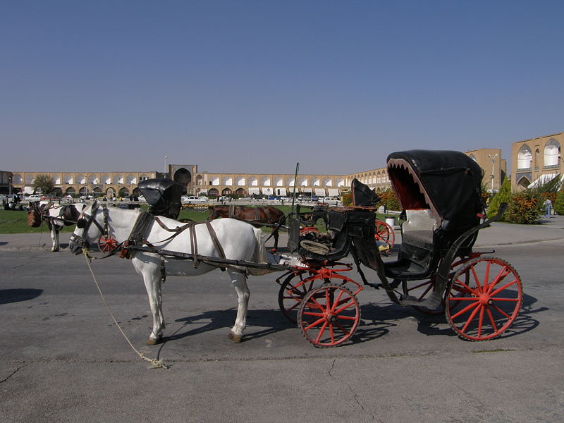 File:Horse and buggy.jpg