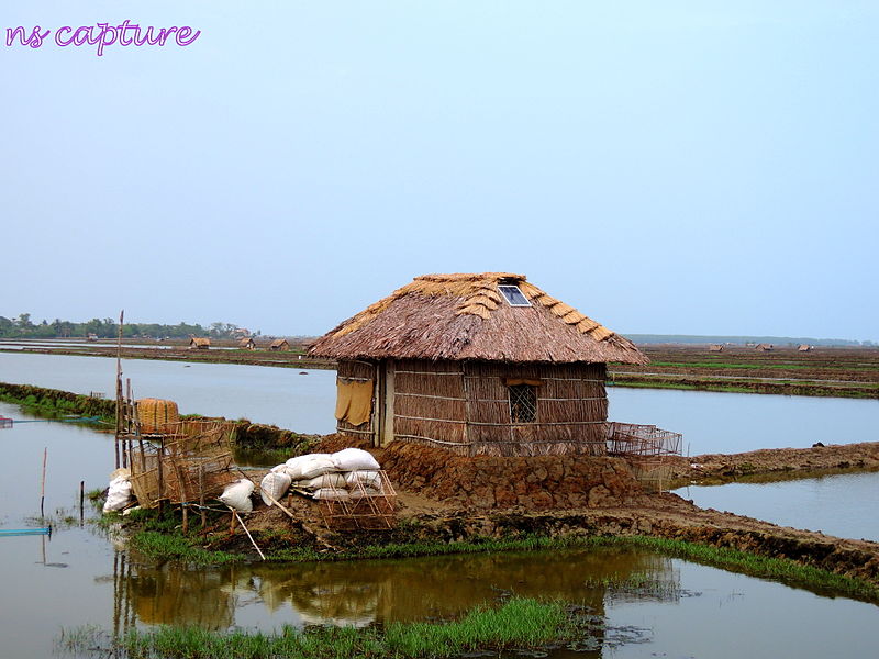 File:Hut use for livelihood.JPG