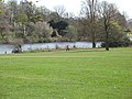 Hyde Park in april 2010 - panoramio - Sebastian “sebrem” B… (1).jpg