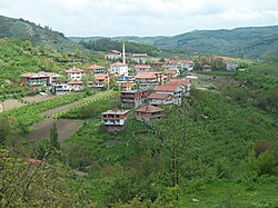 Köyün genel görünümü (Ocak 2007)