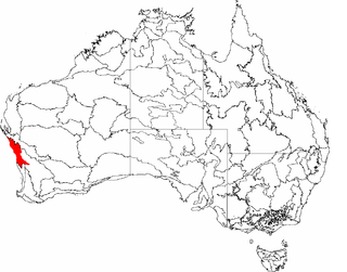 <span class="mw-page-title-main">Geraldton Sandplains</span> Bioregion of Western Australia