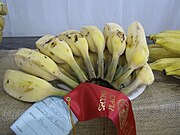 爪哇藍蕉 Blue Java banana