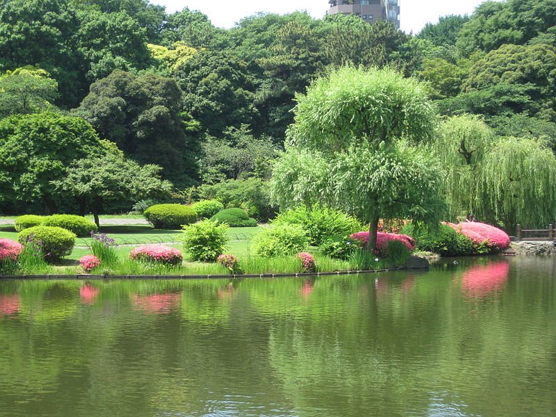 File:Impression of Shinjuku Gyoen, Tokyo (6).jpg