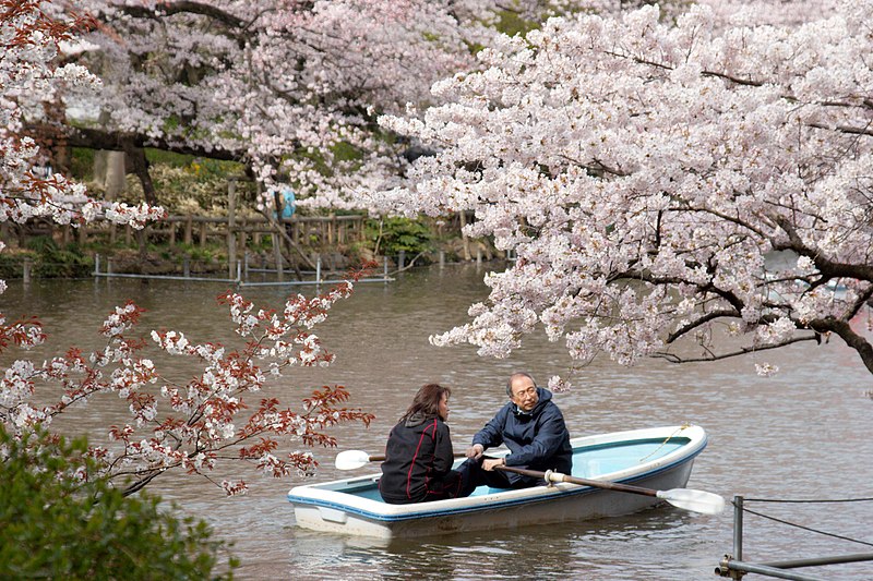 File:Inokashira Park 2009-04-05 (3446041189).jpg