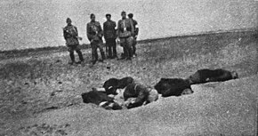 Germany's Einsatzgruppen murdering Jewish civilians in Ivanhorod, Ukraine (1942) which appeared in Swiat Ivanhorod Einsatzgruppen photograph after.jpg