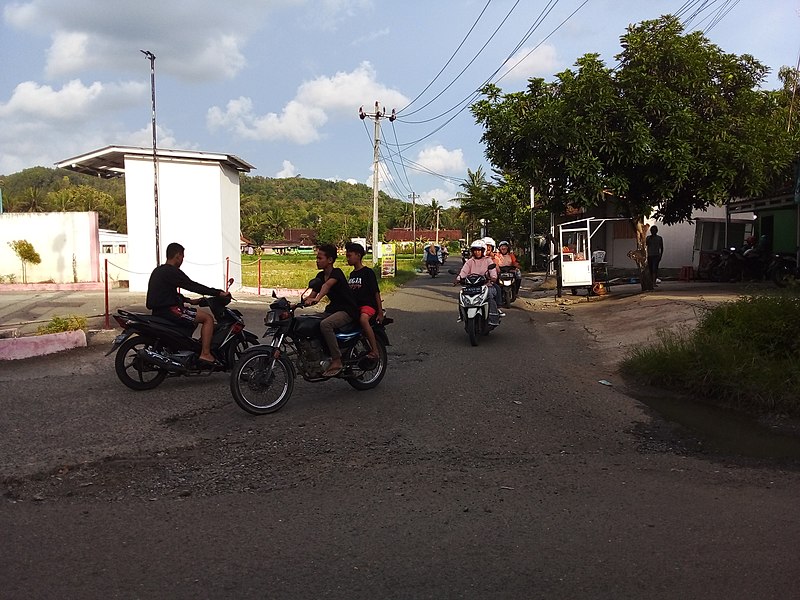 File:Jalan Menuju Ke Desa Bojongsari Kec.Alian Kab.Kebumen Jateng Indonesia.jpg