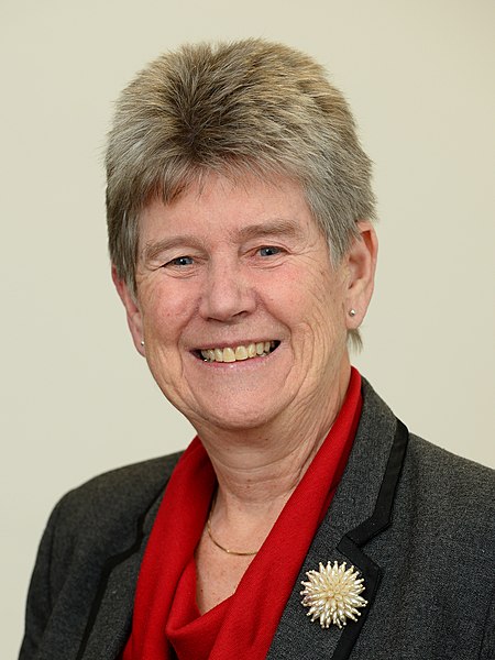 File:Jane Hutt official portrait (cropped).JPG