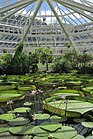 Jardin botanique national de Belgique 1.jpg