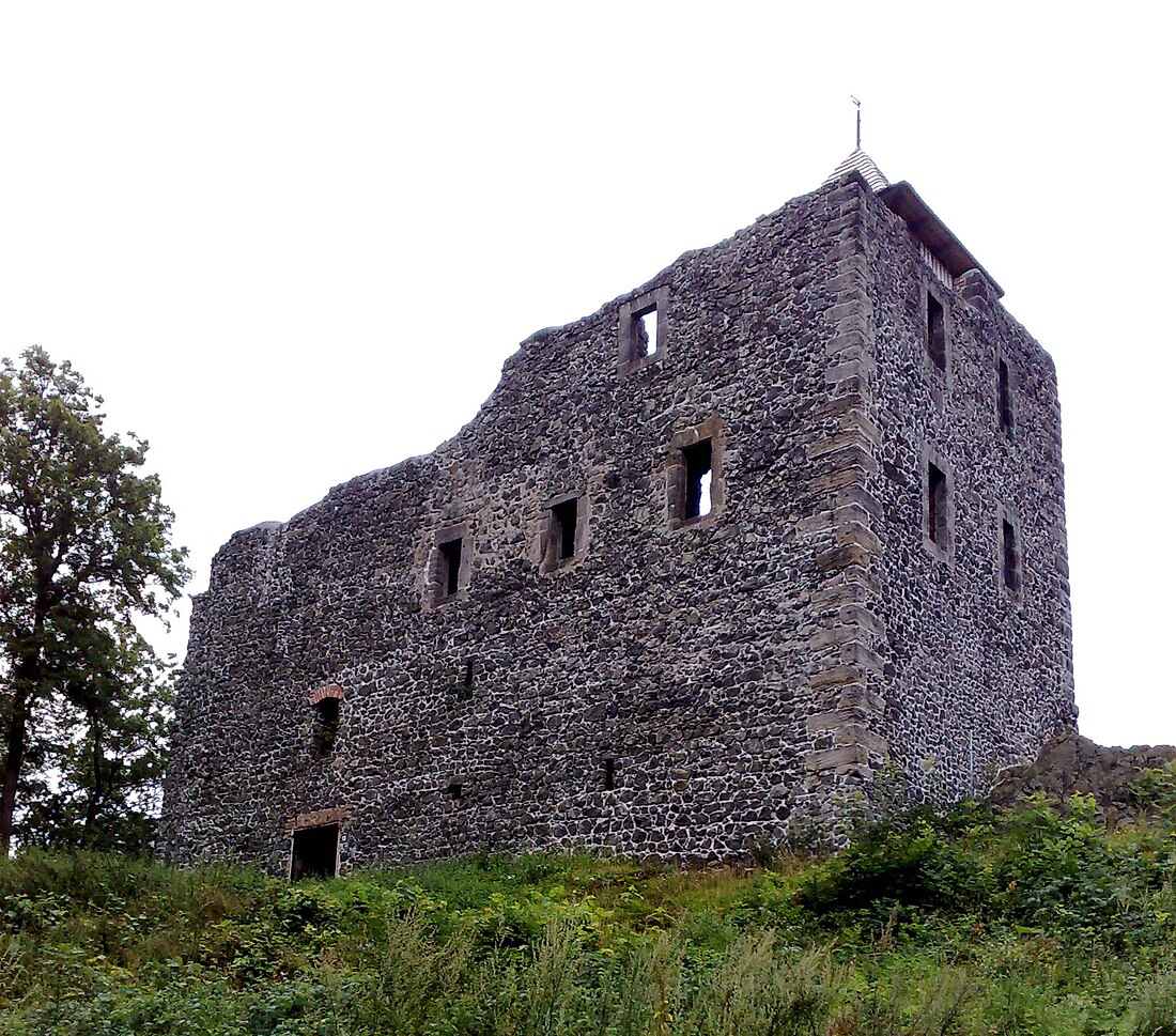 Česká Kamenice (hrad)