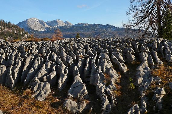 Karsterscheinungen, im Hintergrund die Weiße Wand.jpg