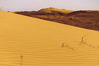 Kherson Desert.jpg