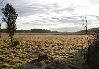 Södra delen med Daltorpsfjärden i bakgrunden