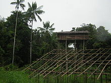 Korowai treehouse in Mappi Regency Korowai Treehouse 5.jpg