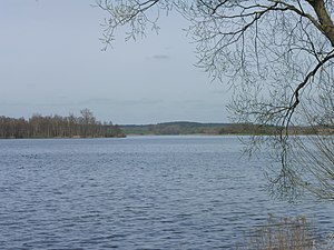 Krakower Obersee (doğu tarafı) .JPG