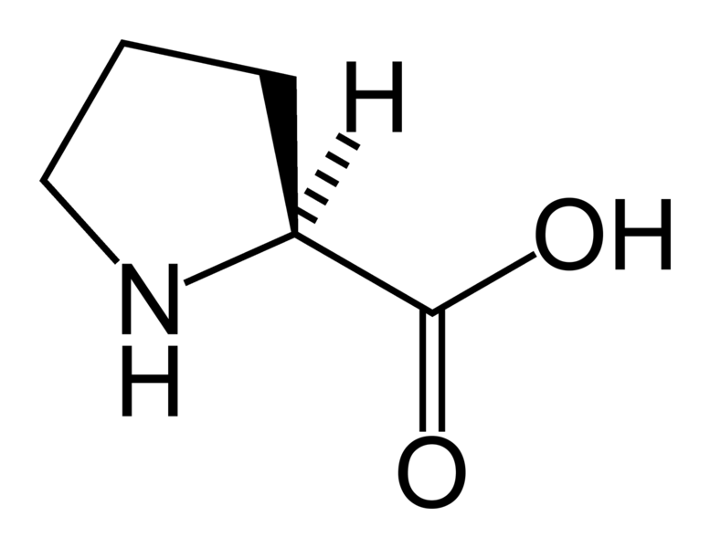 File:L-proline-skeletal.png