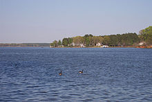 Lake Gaston from Old Bridge Point on Hubquarter Creek