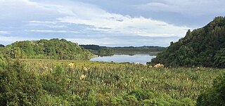 <span class="mw-page-title-main">Lake Papaitonga</span>