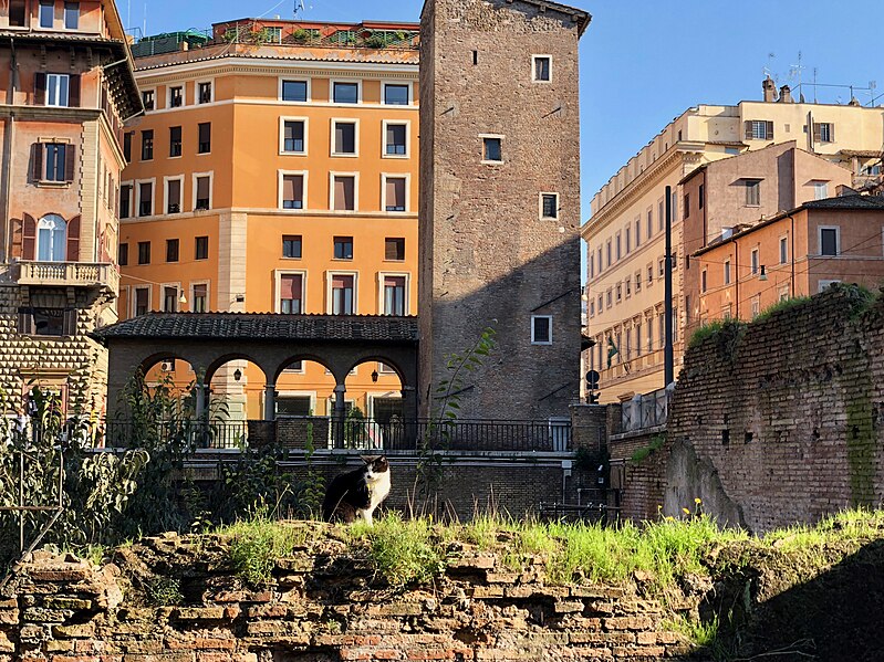 File:Largo di Torre Argentina (46473664862).jpg