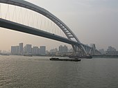 横跨黄浦江的卢浦大桥