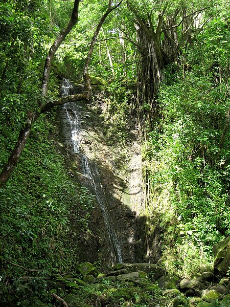 File:Lyon Arboretum, Oahu, Hawaii - waterfall.jpg